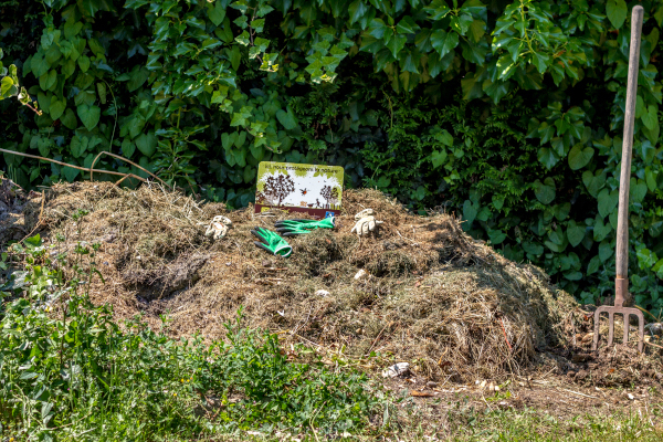 Compost © Alexis Orseau